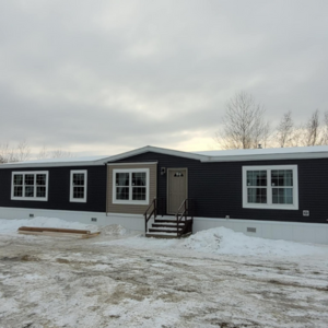 Check the quality of the home